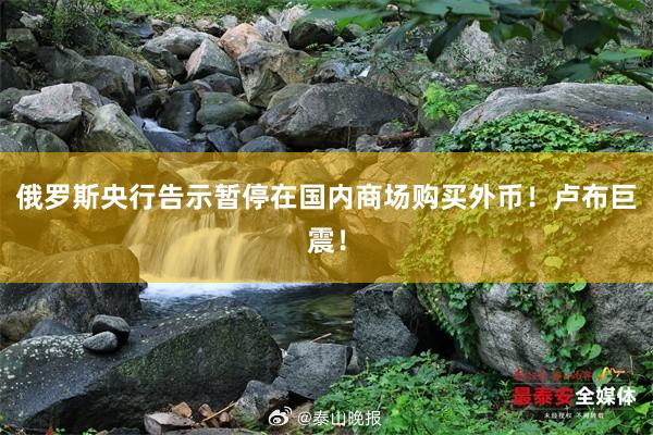 俄罗斯央行告示暂停在国内商场购买外币！卢布巨震！