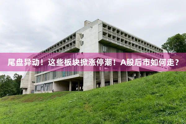 尾盘异动！这些板块掀涨停潮！A股后市如何走？
