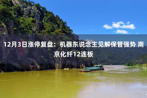 12月3日涨停复盘：机器东说念主见解保管强势 南京化纤12连板